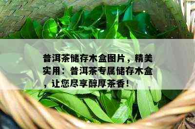 普洱茶储存木盒图片，精美实用：普洱茶专属储存木盒，让您尽享醇厚茶香！