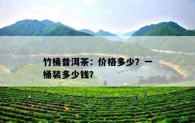 竹桶普洱茶：价格多少？一桶装多少钱？