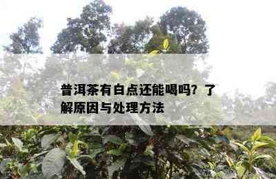 普洱茶有白点还能喝吗？熟悉起因与解决方法