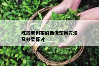 陈皮普洱茶的更佳饮用方法及效果探讨