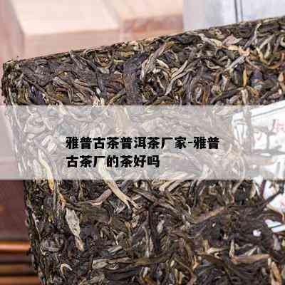 雅普古茶普洱茶厂家-雅普古茶厂的茶好吗