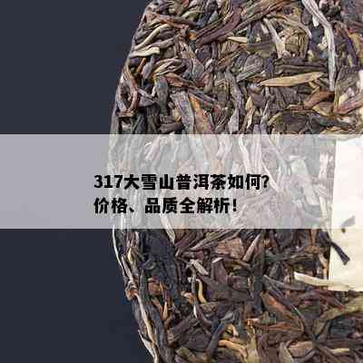 317大雪山普洱茶怎样？价格、品质全解析！