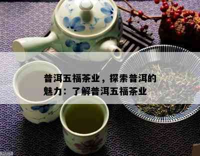 普洱五福茶业，探索普洱的魅力：熟悉普洱五福茶业