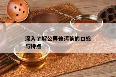 深入熟悉公弄普洱茶的口感与特点