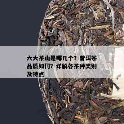 六大茶山是哪几个？普洱茶品质如何？详解各茶种类别及特点