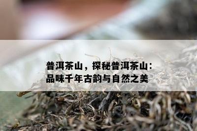 普洱茶山，探秘普洱茶山：品味千年古韵与自然之美