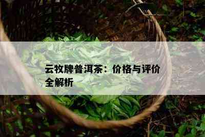 云牧牌普洱茶：价格与评价全解析