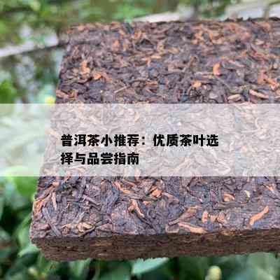 普洱茶小推荐：优质茶叶选择与品尝指南