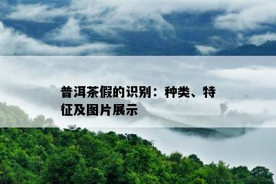 普洱茶假的识别：种类、特征及图片展示