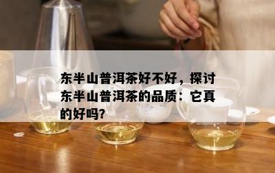 东半山普洱茶好不好，探讨东半山普洱茶的品质：它真的好吗？