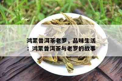 鸿蒙普洱茶老罗，品味生活：鸿蒙普洱茶与老罗的故事