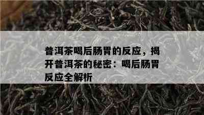 普洱茶喝后肠胃的反应，揭开普洱茶的秘密：喝后肠胃反应全解析