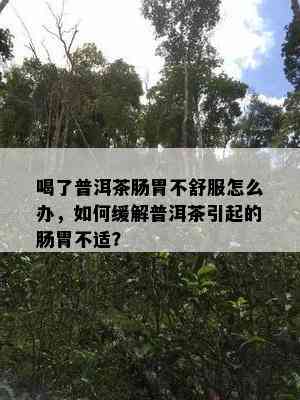 喝了普洱茶肠胃不舒服怎么办，怎样缓解普洱茶引起的肠胃不适？