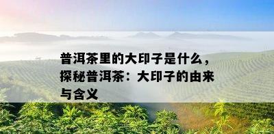 普洱茶里的大印子是什么，探秘普洱茶：大印子的由来与含义