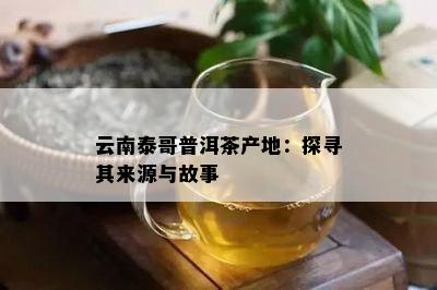 云南泰哥普洱茶产地：探寻其来源与故事