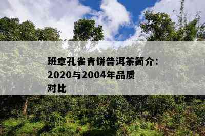 班章孔雀青饼普洱茶简介：2020与2004年品质对比