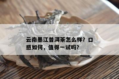 云南墨江普洱茶怎么样？口感如何，值得一试吗？