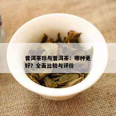 普洱茶珍与普洱茶：哪种更好？全面比较与评价