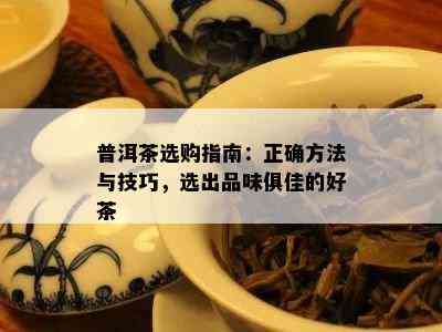 普洱茶选购指南：正确方法与技巧，选出品味俱佳的好茶