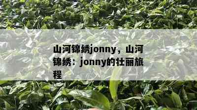 山河锦绣jonny，山河锦绣：jonny的壮丽旅程