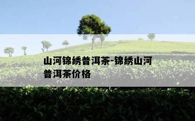 山河锦绣普洱茶-锦绣山河普洱茶价格