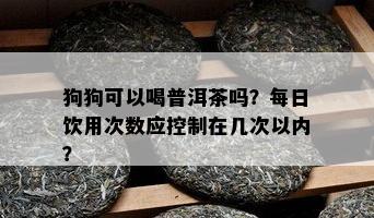 狗狗可以喝普洱茶吗？每日饮用次数应控制在几次以内？