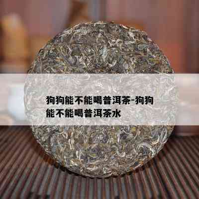 狗狗能不能喝普洱茶-狗狗能不能喝普洱茶水