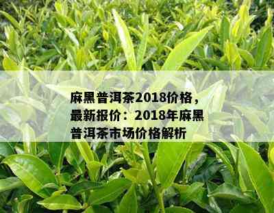 麻黑普洱茶2018价格，最新报价：2018年麻黑普洱茶市场价格解析