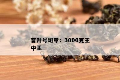 普升号班章：3000克王中王