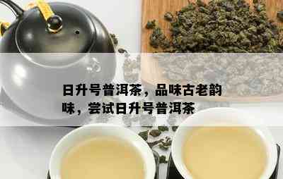 日升号普洱茶，品味古老韵味，尝试日升号普洱茶