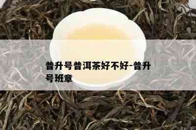 普升号普洱茶好不好-普升号班章