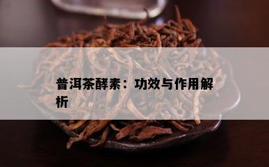 普洱茶酵素：功效与作用解析