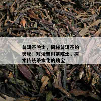 普洱茶院士，揭秘普洱茶的奥秘：对话普洱茶院士，探索传统茶文化的瑰宝