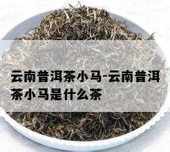 云南普洱茶小马-云南普洱茶小马是什么茶