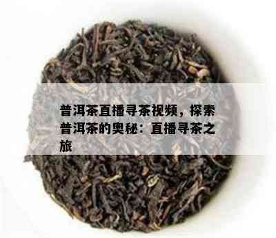 普洱茶直播寻茶视频，探索普洱茶的奥秘：直播寻茶之旅