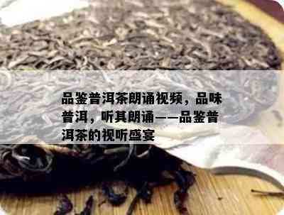 品鉴普洱茶朗诵视频，品味普洱，听其朗诵——品鉴普洱茶的视听盛宴