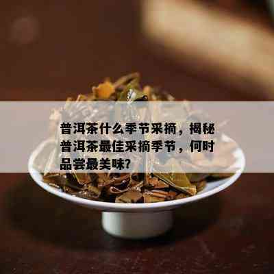 普洱茶什么季节采摘，揭秘普洱茶更佳采摘季节，何时品尝最美味？