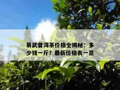 易武普洱茶价格全揭秘：多少钱一斤？最新价格表一览