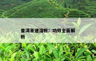 普洱茶速溶粉：功效全面解析