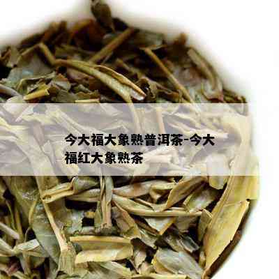 今大福大象熟普洱茶-今大福红大象熟茶