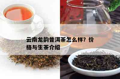 云南龙韵普洱茶怎么样？价格与生茶介绍