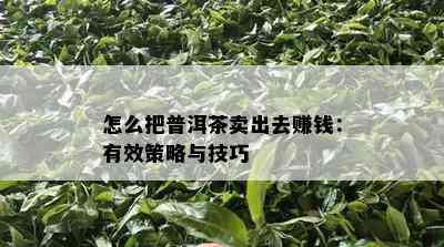 怎么把普洱茶卖出去赚钱：有效策略与技巧