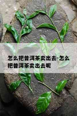 怎么把普洱茶卖出去-怎么把普洱茶卖出去呢