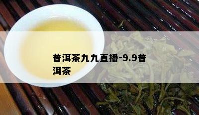 普洱茶九九直播-9.9普洱茶