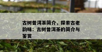 古树普洱茶简介，探索古老韵味：古树普洱茶的简介与鉴赏