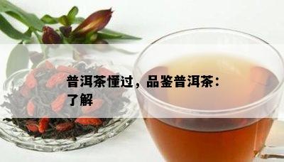 普洱茶懂过，品鉴普洱茶：熟悉