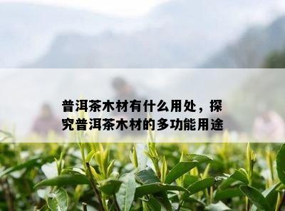 普洱茶木材有什么用处，探究普洱茶木材的多功能用途