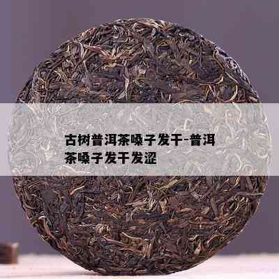 古树普洱茶嗓子发干-普洱茶嗓子发干发涩