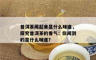 普洱茶闻起来是什么味道，探究普洱茶的香气：你闻到的是什么味道？