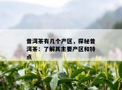 普洱茶有几个产区，探秘普洱茶：熟悉其主要产区和特点